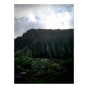 On the way to the Buddhist Temple, Oahu posters