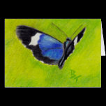 On the Wings aceo Butterfly Blank Card cards