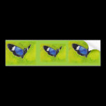 On the Wings aceo Butterfly Bumper Sticker bumper stickers