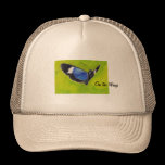 On the Wings aceo Butterfly Hat hats