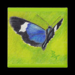On the Wings aceo Butterfly Magnet magnets