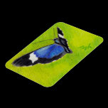 On the Wings aceo Butterfly Magnet magnets