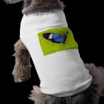 On the Wings aceo Butterfly Pet Clothing pet clothing
