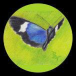 On the Wings aceo Butterfly Sticker stickers