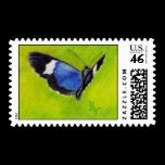 On the Wings Butterfly Postage Stamps stamps