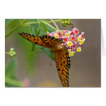 On the Wings of a Butterfly Card