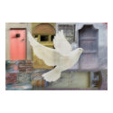 On the Wings of a Dove posters