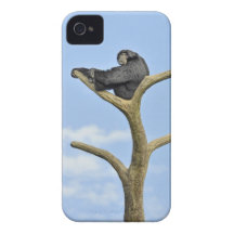On Top of the World Gibbon iPhone 4 Case