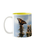 On Top of the World Mugs
