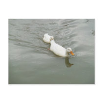 On Tow Post Card