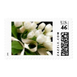 On Trend-Wedding Postage