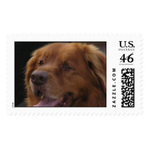 On watch postage by gfrbf3761 On watch postage