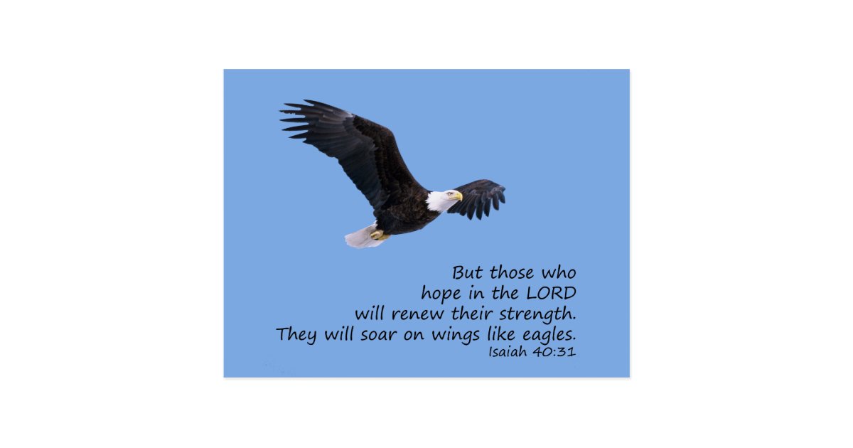On Wings Like Eagles Postcard Zazzle