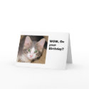 On your Dirthdat cards