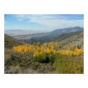 Onaqui Mountain Aspen - Tooele County, Utah posters