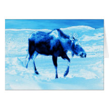 Once In A Blue Moose Card