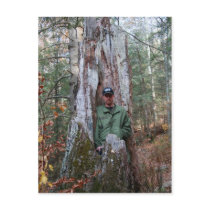 Once mighty oak postcards by jetkrazee Once mighty oak postcards
