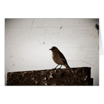 Once Upon A Mockingbird (Blank Inside) Card