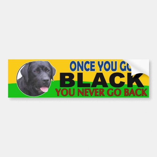 Once You Go Black Lab Bumper Sticker Zazzle 6740