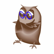Ondell Owl photo sculptures