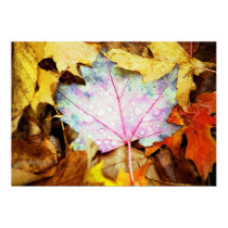 One Autumn Leaf posters