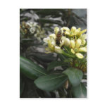 One Bee CloseUp 2