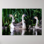 One Big Family Print
