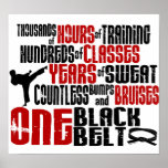 ONE Black Belt 2 posters