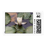 One Blossom Stamps