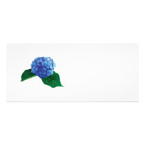 One Blue Hydrangea rack cards