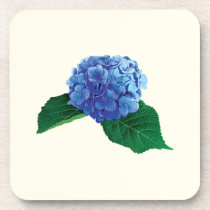 One Blue Hydrangea cork coasters