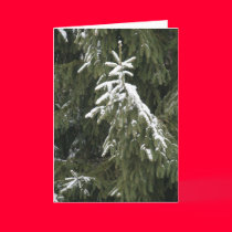 One Branch cards