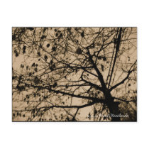 One breezy evening postcards by maix1001 One breezy evening postcards