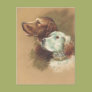 One Brown and One White Dog Postcards One Brown and One White Dog Postcards