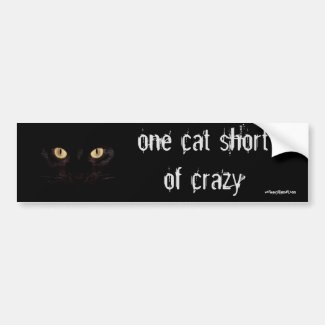 one cat short car bumper sticker
