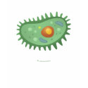 One Cell t-shirts