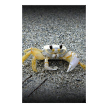 One Claw Joe Stationery