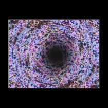 One (colorful spiral)