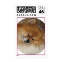One Contented Pup postage