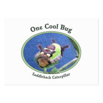 One Cool Bug Caterpillar Business Card Templates
