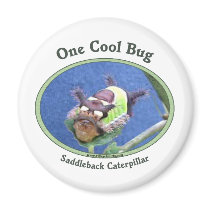 One Cool Bug Caterpillar Refrigerator Magnets