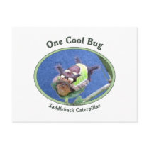 One Cool Bug Caterpillar Post Card
