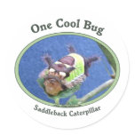 One Cool Bug Caterpillar Stickers