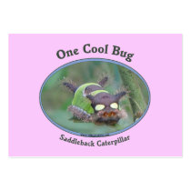 One Cool Caterpillar Bug Business Card