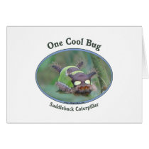 One Cool Caterpillar Bug Greeting Cards