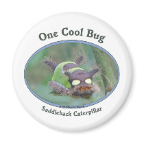 One Cool Caterpillar Bug Magnets