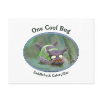 One Cool Caterpillar Bug Postcards