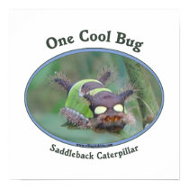 One Cool Caterpillar Bug Print