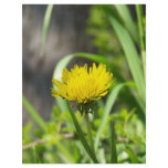 One Dandelion Letterhead