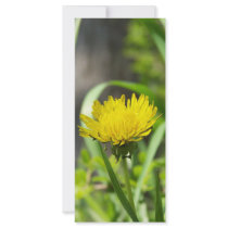 One Dandelion Rack Card Template